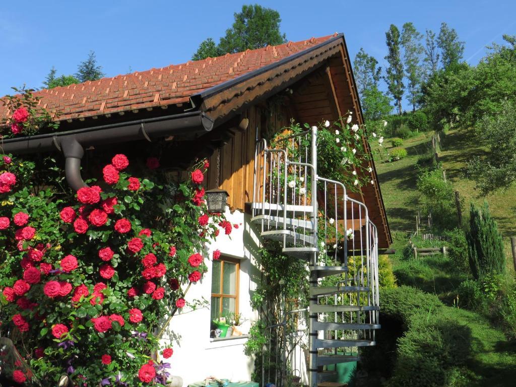 Hotel Haus Loidl Sankt Gallen Exterior foto